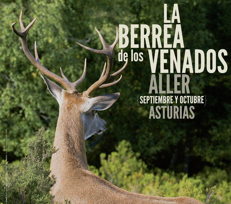 CARTEL LA BERREA DE LOS VENADOS 2016